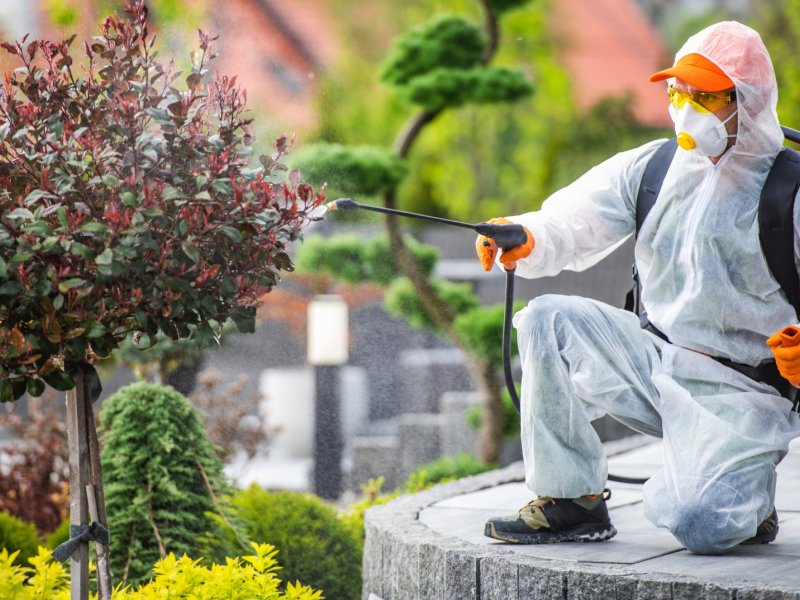 Düziçi Haşere İlaçlama