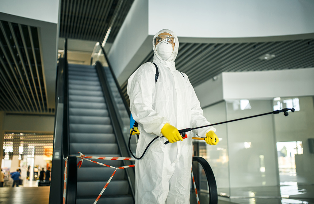 Düziçi Haşere İlaçlama